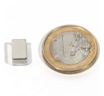 Neodym-Magnete, Blcke 10 x 6 x 5 mm